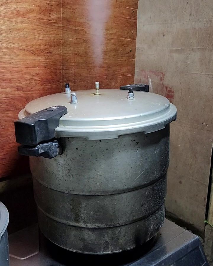 Sterilization
