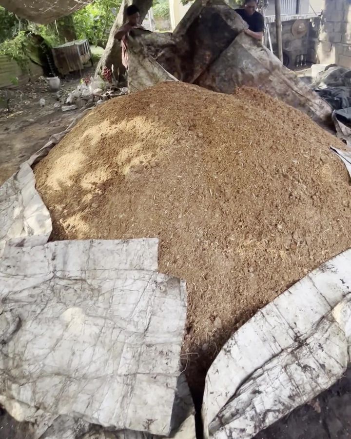 21 araw na pagbubulok
